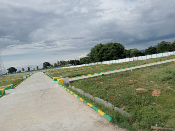 300 sqyd affordable plots near Yamuna Expressway